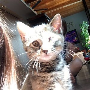 Meet your Posher, Jocelyn